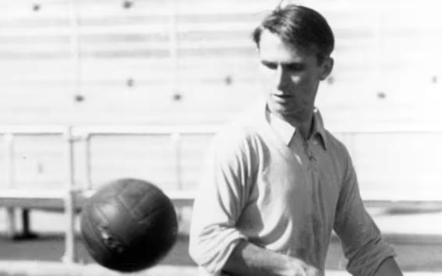 1707056568384046929.jpg 哈姆林.jpg